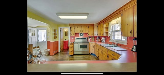 6346 Cropper St, Chincoteague, VA 23336 - kitchen featuring double oven range, a sink, wood finished floors, and open shelves