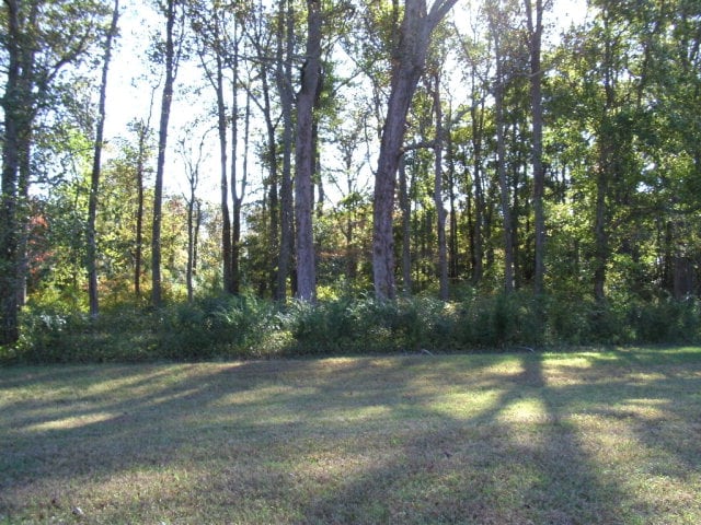 LOT111 Coventon Ln Unit 111, Horntown VA, 23395 land for sale