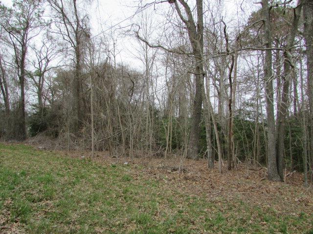 LOT13 Wallops Millpond Rd Unit 13, New Church VA, 23415 land for sale