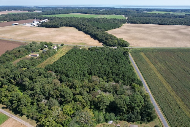 birds eye view of property with a rural view