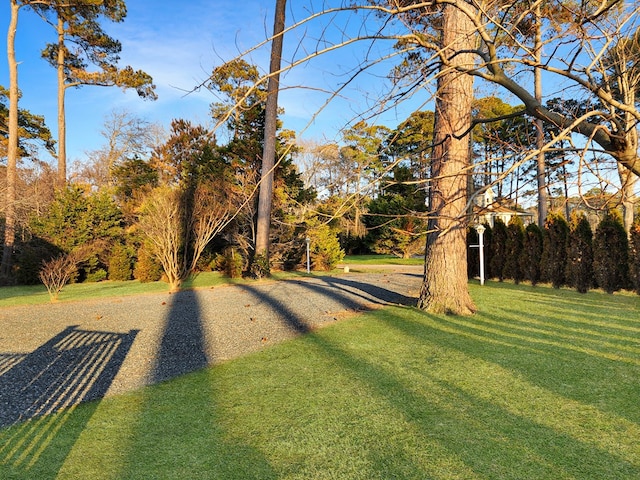 view of community featuring a yard