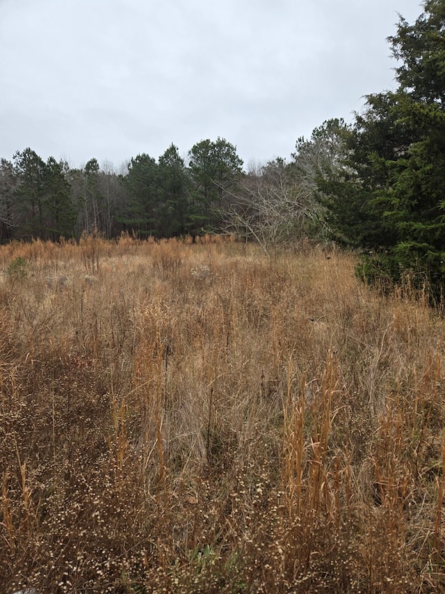 view of local wilderness