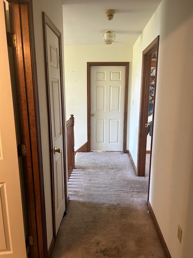 9370 Southwind Rd, Atlantic, VA 23303 - hall with carpet flooring and baseboards
