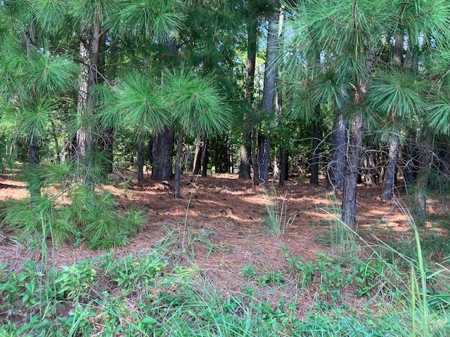 Listing photo 3 for LOT49 Mallard Ln Unit 49, Machipongo VA 23405