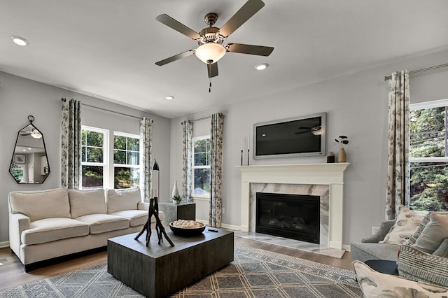 living room featuring wood-type flooring, ceiling fan, and a premium fireplace