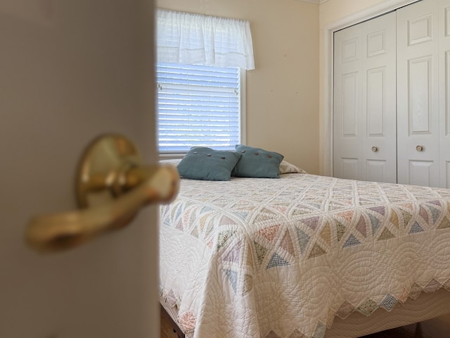 21382 Southside Rd, Onancock, VA 23417 - bedroom with a closet
