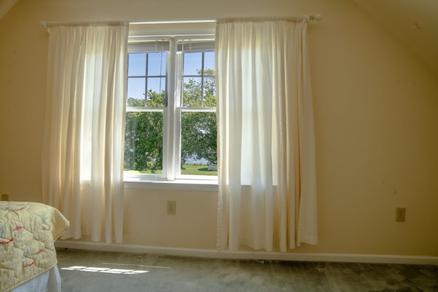 21382 Southside Rd, Onancock, VA 23417 - additional living space featuring carpet floors and healthy amount of natural light