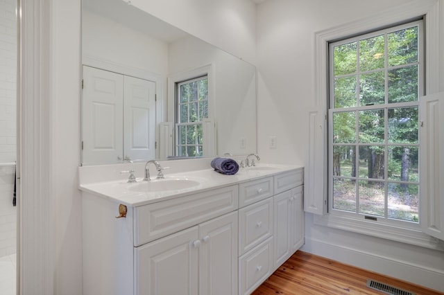 bathroom with vanity, hardwood / wood-style flooring, and a wealth of natural light