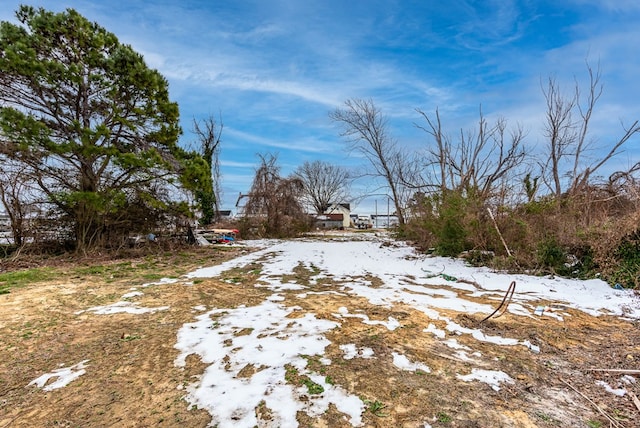 view of yard covered in snow