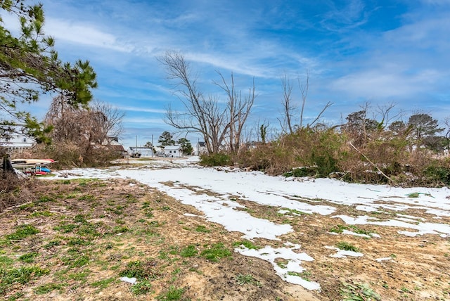 view of yard covered in snow