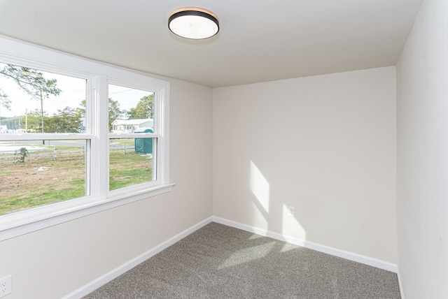 empty room featuring carpet