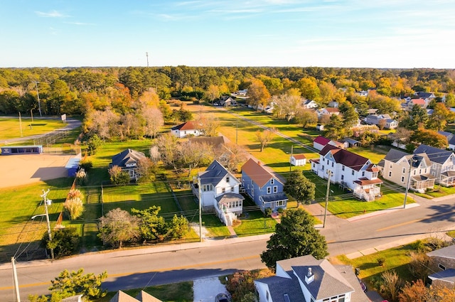 bird's eye view