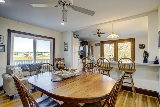 dining area with light hardwood / wood-style flooring and ceiling fan