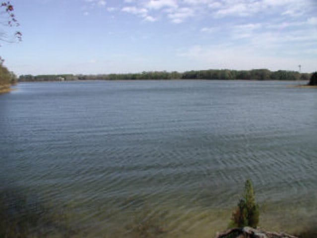 LOT17 Shooting Point Dr Unit 17, Machipongo, VA 23405 - photo 12
