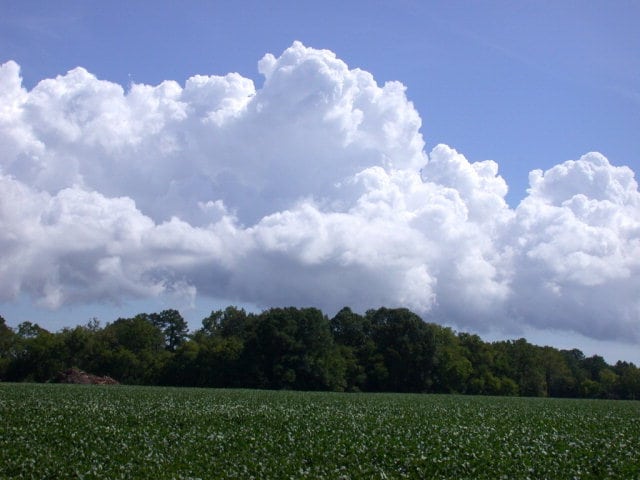 LOT17 Shooting Point Dr Unit 17, Machipongo, VA 23405 - photo 11