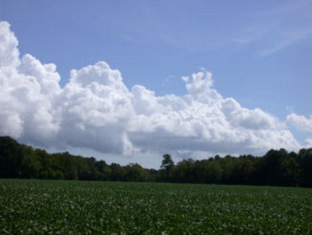 LOT17 Shooting Point Dr Unit 17, Machipongo, VA 23405 - photo 6