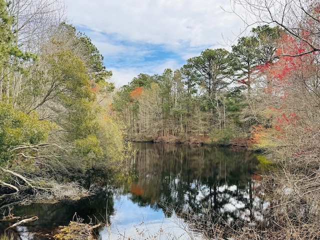 LOT24 Peaceful Lakes Dr Unit 24, Franktown, VA 23350