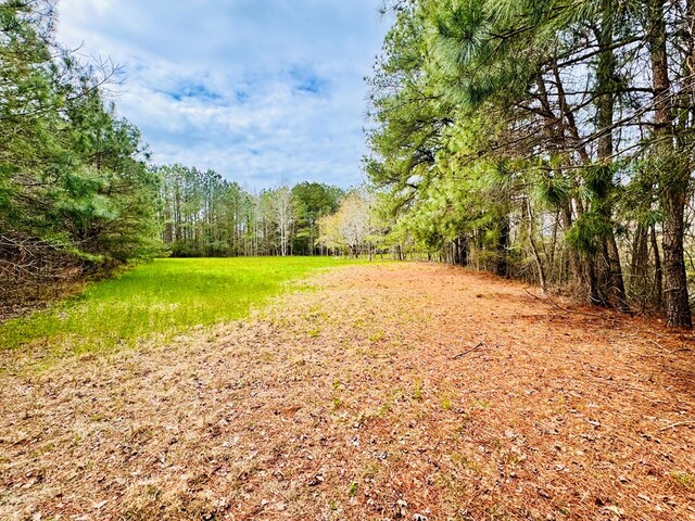 LOT24 Peaceful Lakes Dr Unit 24, Franktown, VA 23350