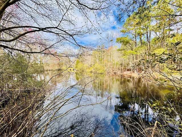 LOT24 Peaceful Lakes Dr Unit 24, Franktown, VA 23350