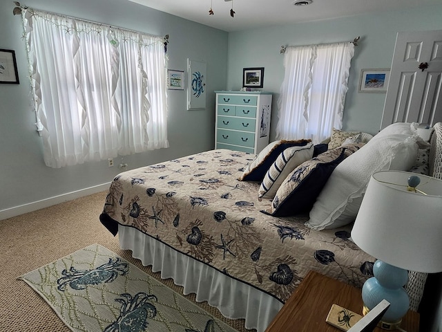 carpeted bedroom with multiple windows