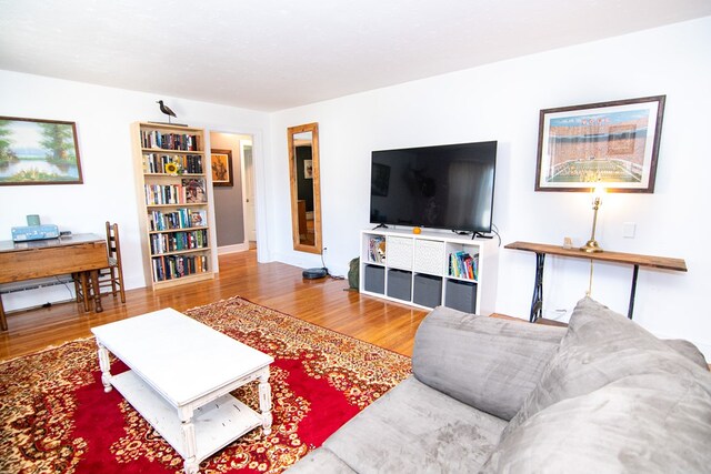 11510 Poplar Ave, Exmore, VA 23350 - living room featuring wood finished floors