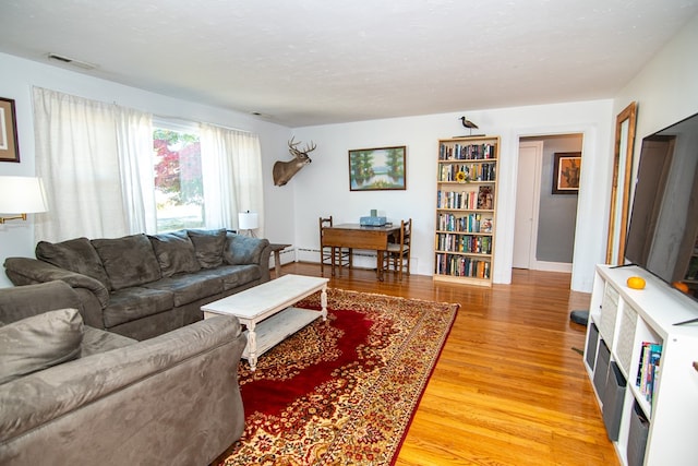 11510 Poplar Ave, Exmore, VA 23350 - living room with light wood-style floors