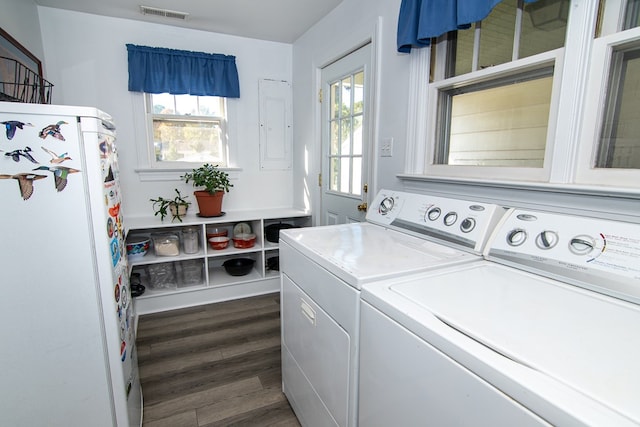 11510 Poplar Ave, Exmore, VA 23350 - laundry area with washing machine and clothes dryer, dark wood-style flooring, and electric panel