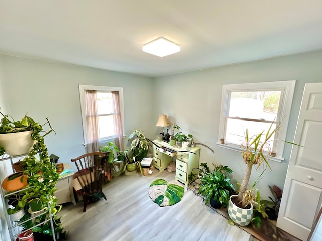 office with hardwood / wood-style floors and a healthy amount of sunlight