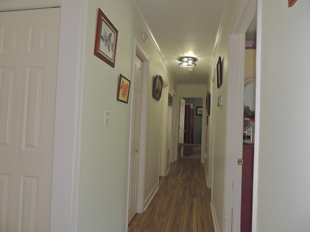 16223 Country Club Rd, Melfa, VA 23410 - photo 19