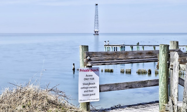 dock area with a water view