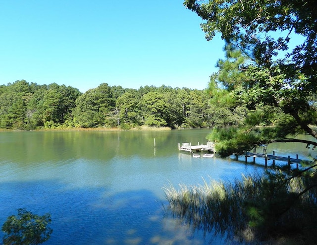 Listing photo 3 for LOT21A Wilsonia Shores Dr Unit 21A, Machipongo VA 23405