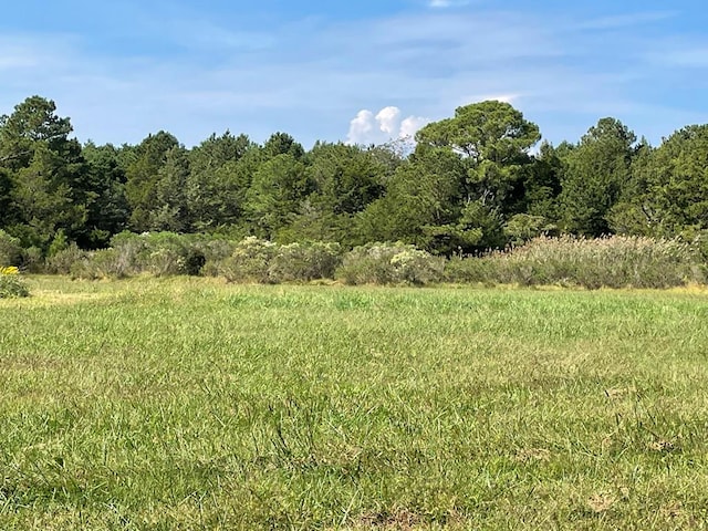 LOT55B Back Creek Rd Unit 55B, Hacksneck, VA 23358