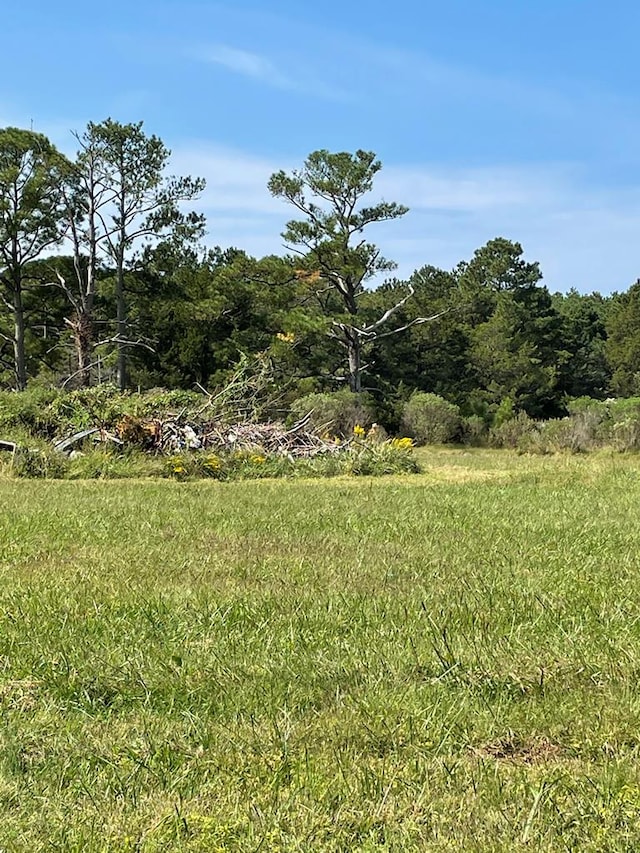 LOT55B Back Creek Rd Unit 55B, Hacksneck, VA 23358