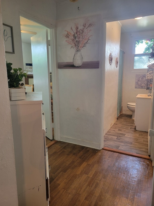 hallway featuring wood-type flooring