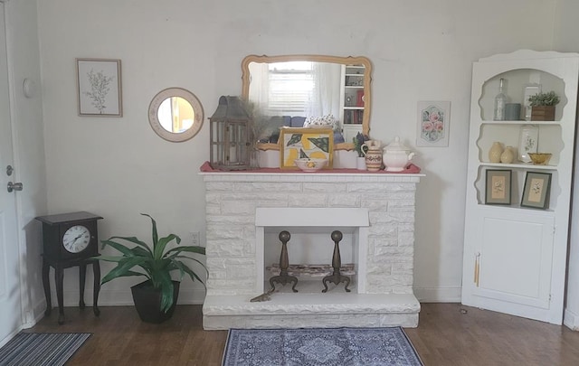 details featuring a stone fireplace and wood-type flooring