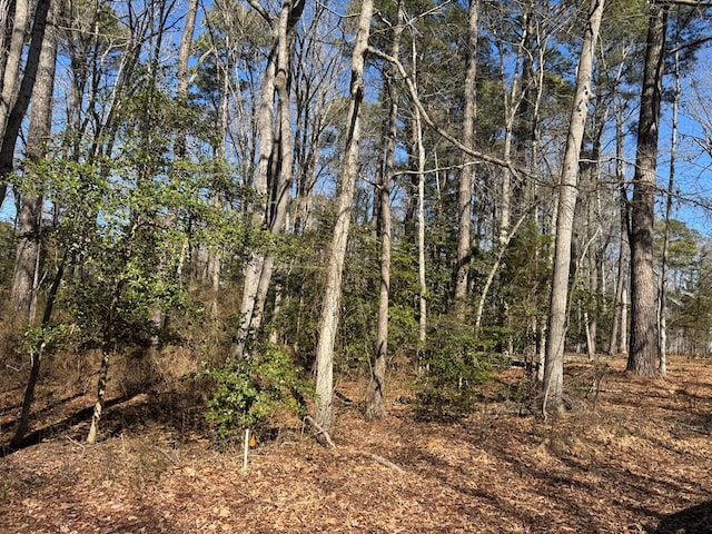 LOT2055 Neptune Dr Unit 2055, Greenbackville VA, 23356 land for sale