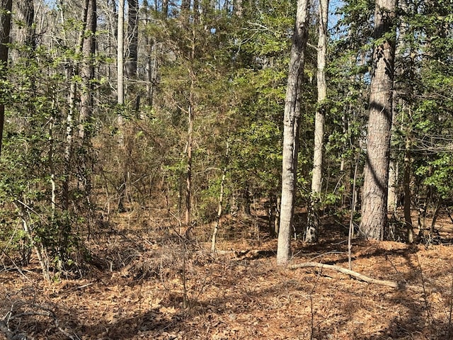 Listing photo 2 for LOT2055 Neptune Dr Unit 2055, Greenbackville VA 23356