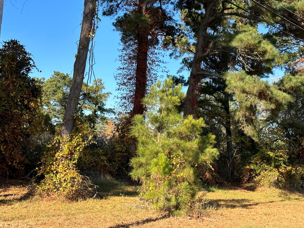 244A3 Ridge Rd Unit 244A3, Chincoteague, VA 23336 - photo 1