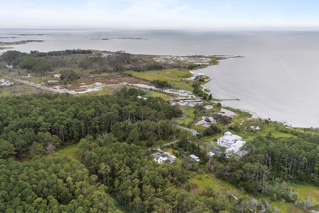 14457 Broadway Rd, Onancock, VA 23417 - aerial view of property and surrounding area with a large body of water and a heavily wooded area