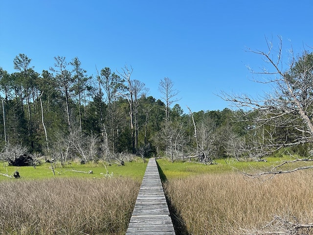 14457 Broadway Rd, Onancock, VA 23417 - dock with a forest view