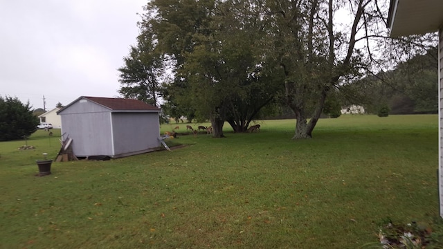 2561 Captains Corridor, Greenbackville, VA 23356 - view of green lawn