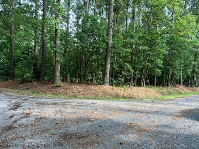 Listing photo 2 for LOT79 Swan Dr Unit 79, Machipongo VA 23405