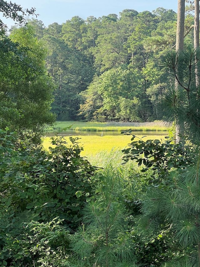 LOT75 Olde Mill Ln Unit 75, New Church, VA 23415 - photo 1