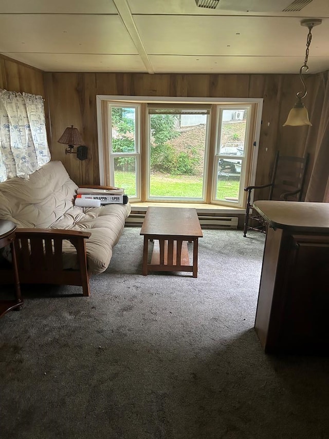 sitting room with wooden walls and carpet floors