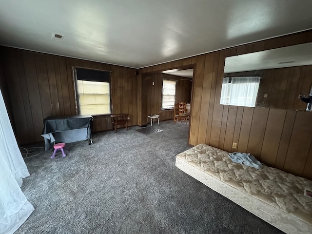 interior space featuring wood walls and carpet