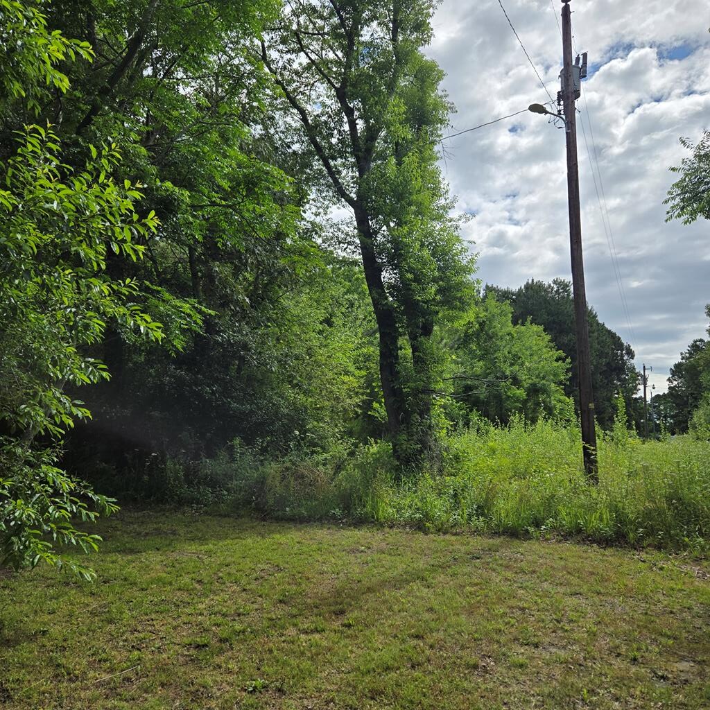 0 Briar Ct Unit 0, Cape Charles, VA 23310 - photo 1