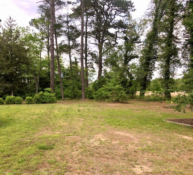 21020 Adams Rd, Greenbush, VA 23357 - view of green lawn