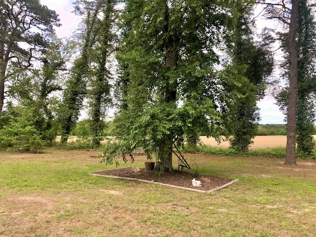 21020 Adams Rd, Greenbush, VA 23357 - view of green lawn