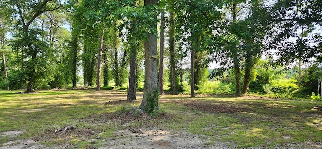 21020 Adams Rd, Greenbush, VA 23357 - photo 13