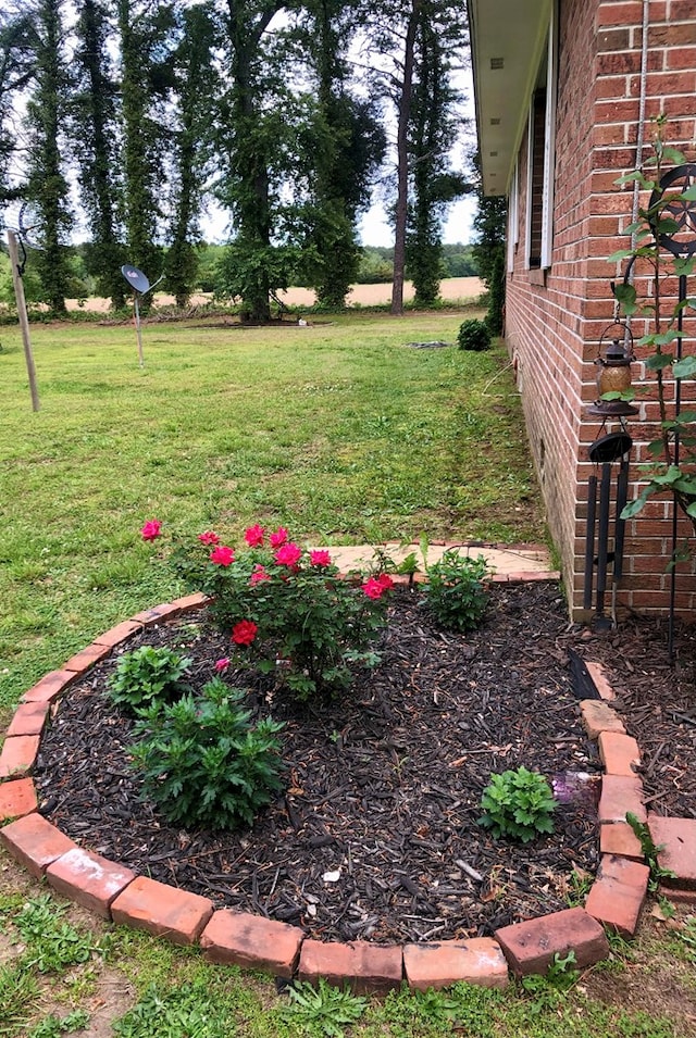 21020 Adams Rd, Greenbush, VA 23357 - view of green lawn